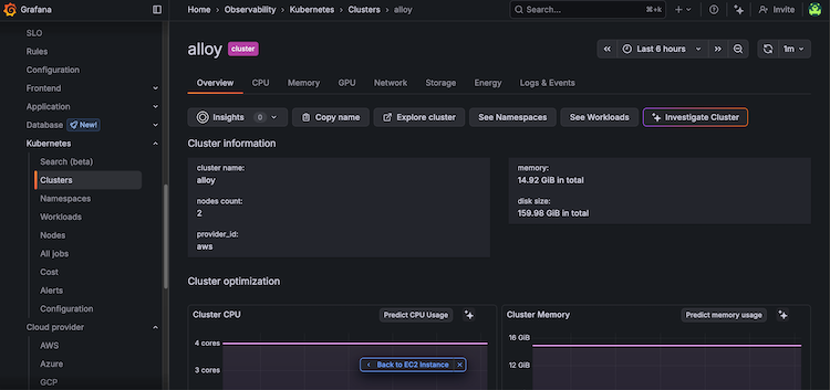 Kubernetes Cluster instance overview page with Back to EC2 Instance link